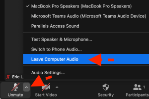 Screenshot of Zoom audio options, with "Leave Computer Audio" selected